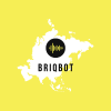 BRIQBOT